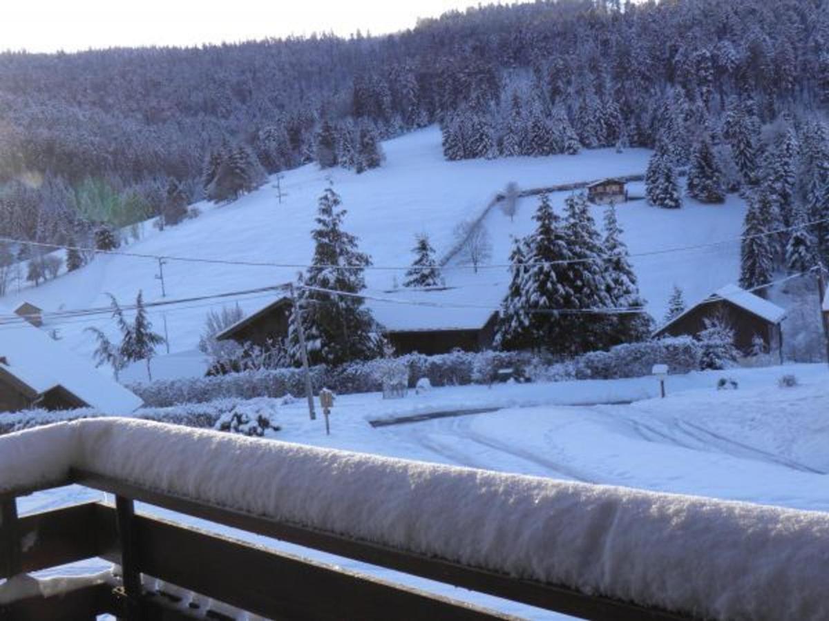 Chalet Renove Proche Du Valtin - Ideal Pour Famille, Randonnees Et Ski, Wifi, Luges Fournies - Fr-1-589-150 Ban-sur-Meurthe-Clefcy Exterior foto